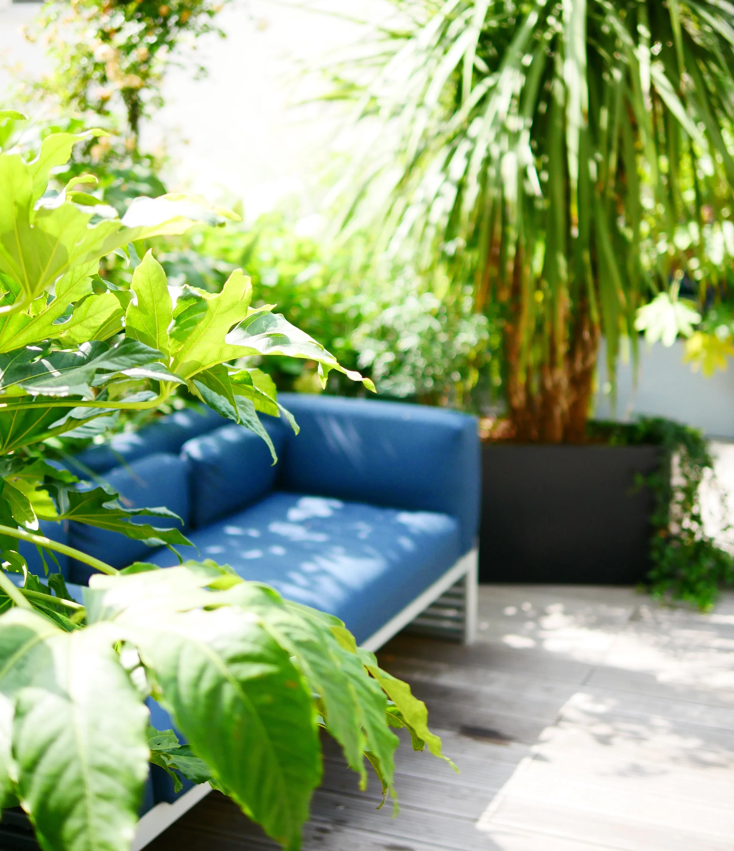 kwerk_haussmann_coworking_paris_terrasses_jardins_outdoor_garden_christophe_gautrand_paysagiste_1.jpg