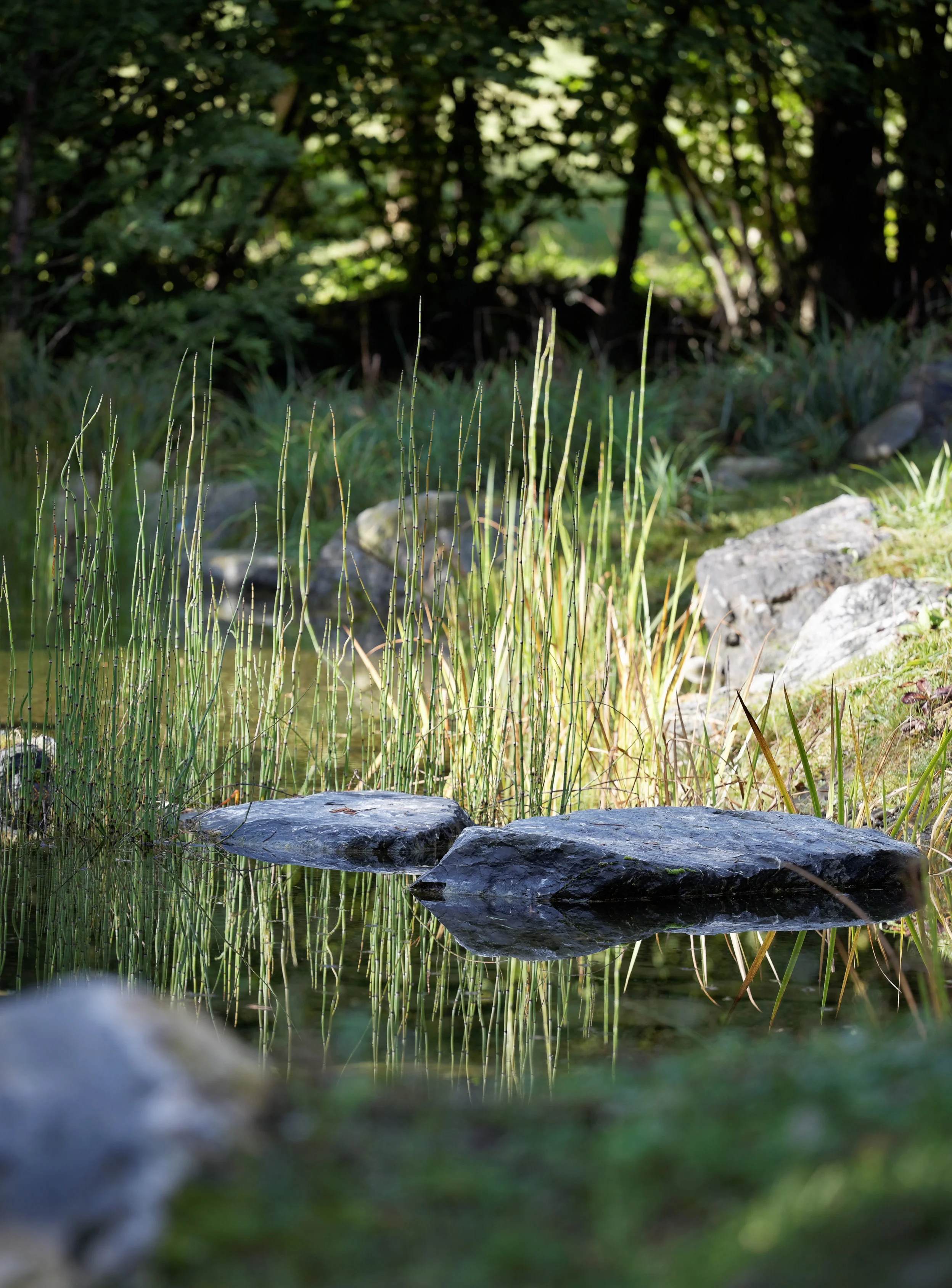 private_garden_pyrenees_terraces_gardens_outdoor_designer_christophe_gautrand_1.jpg