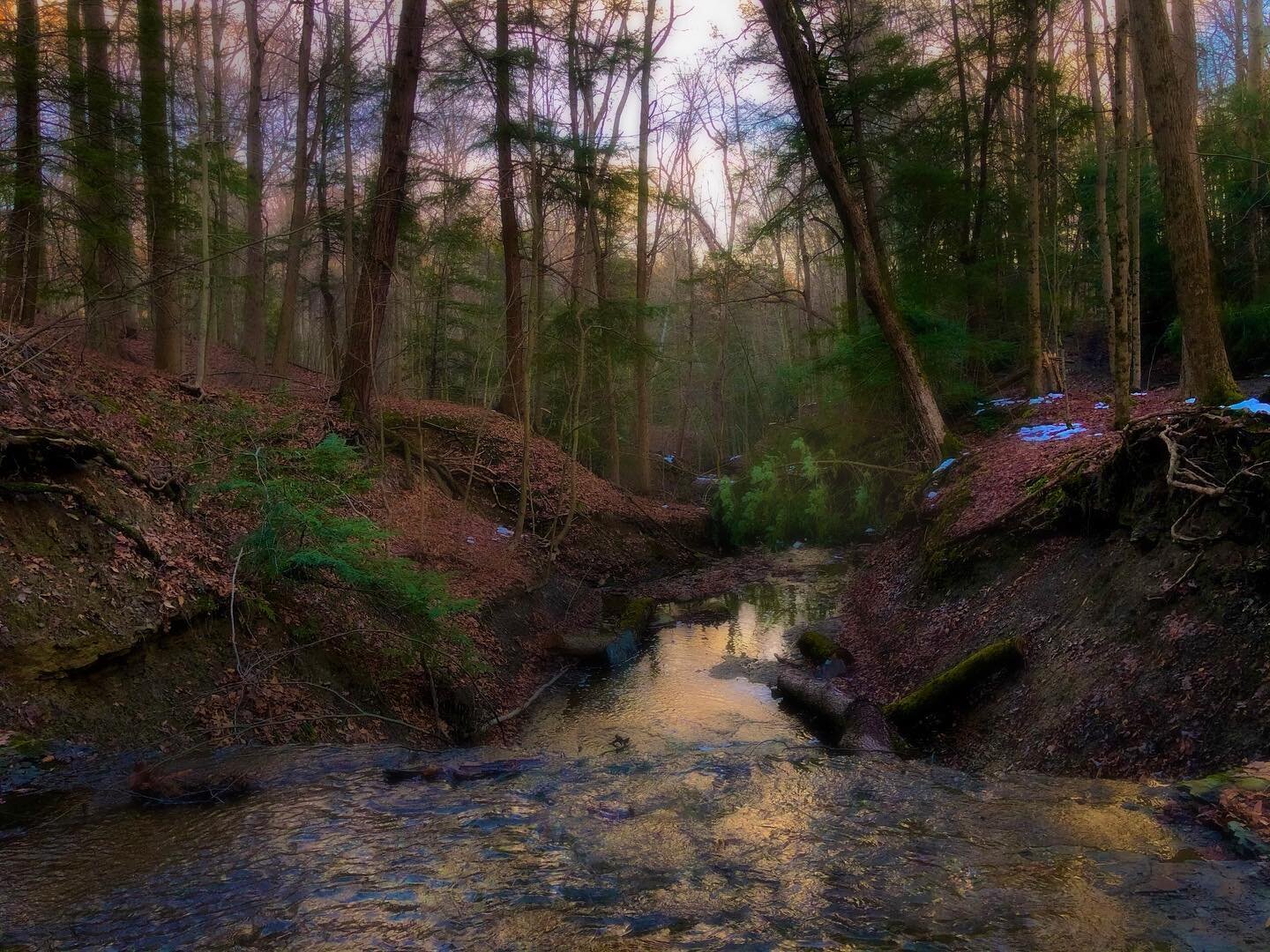 Find a quiet place, just to BE. ~ Encuéntrate en un sitio tranquilo, solamente para SER.
.
Photo: @kevinmonacomusic / @musicfortranscendence 
.
.
#tranquility #nature #forest #bosque #calmingmusic #findingpeace #selfhelp #healingthroughnature #heali