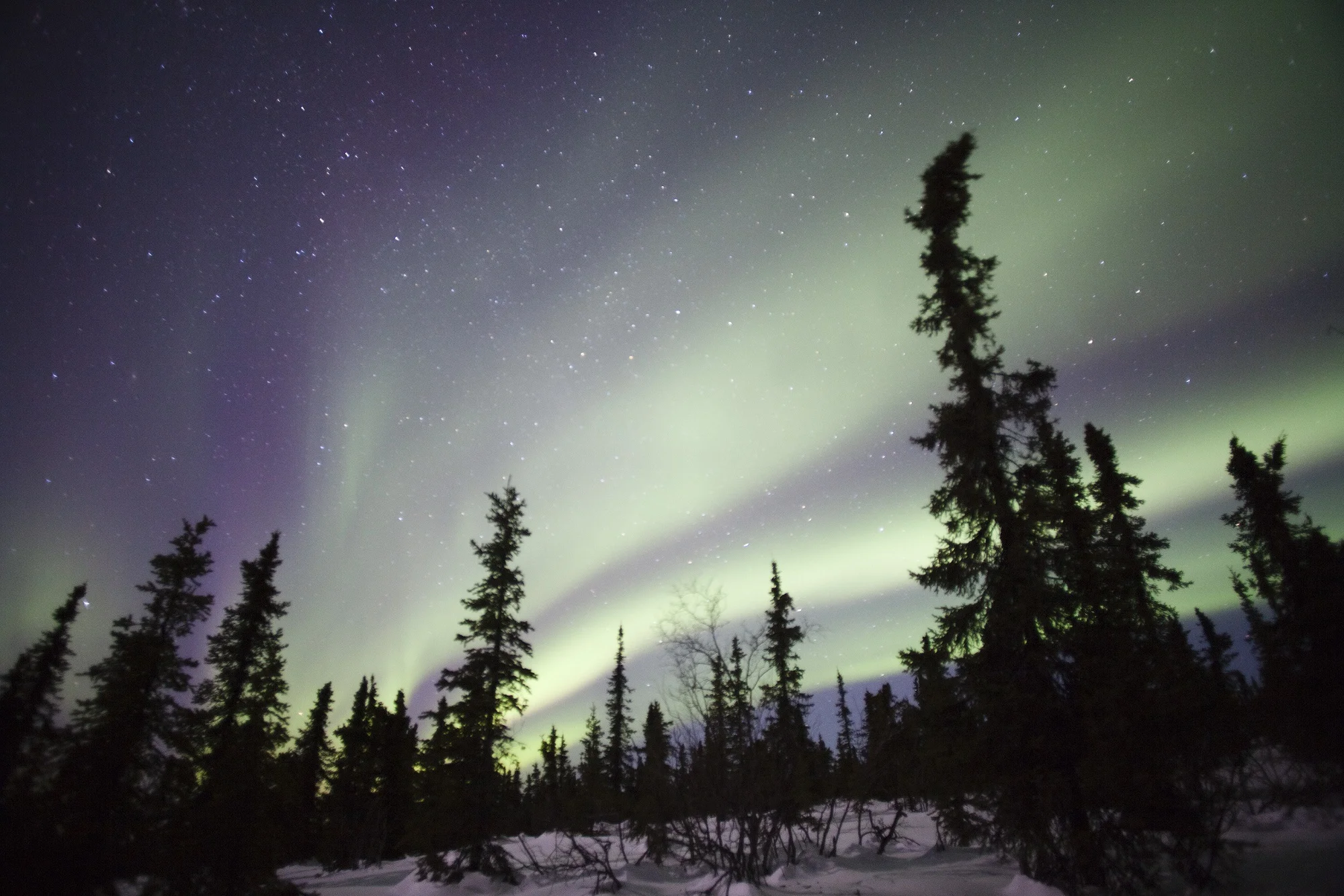 aurora-894238.jpg