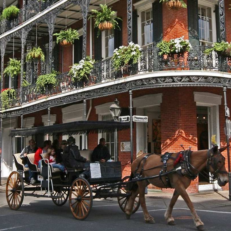 nola.jpeg