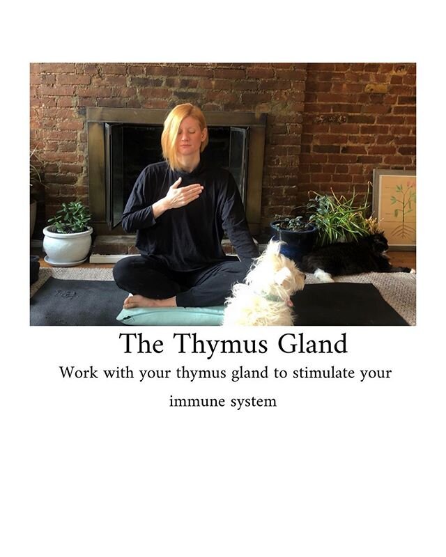 The Thymus gland (located behind your sternum and between your lungs) produces self-hormones such as thymulin, thymosin, thymopentin, and thymus humoral factor, which participate in the regulation of immune cell transformation and selection and also 