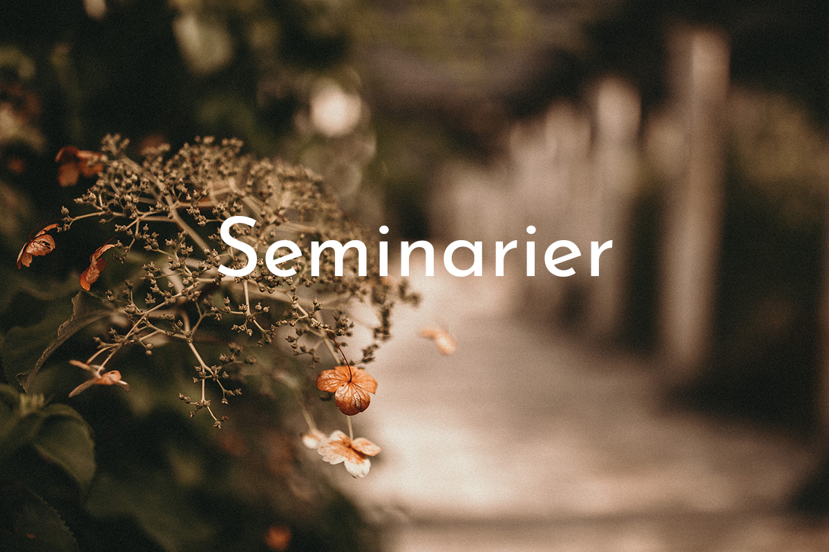 Photo by Alekon pictures on Unsplash