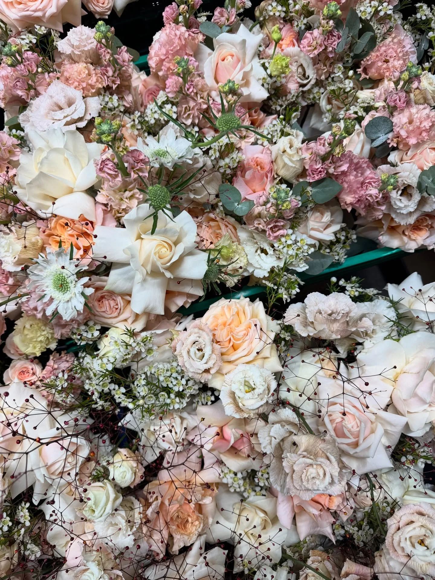Changing seasons 🤍
#augustaflorals #seasonalflowers #weddingfloristuk #theconnaughthotel #thened #thenedwedding #kimptonfitzroywedding #centrallondonwedding #londoncityflorist
#buckinghamshireflorist #oxfordshireweddingflorist #bridalbouquet #brid