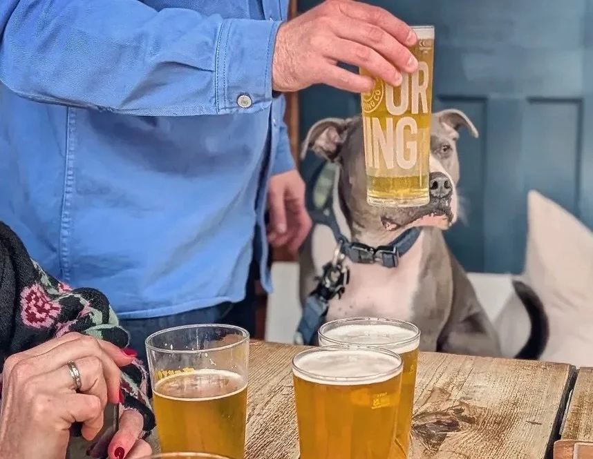 You should know the drill by now but just in case. Fridays from 3pm = 3 for &pound;10 House Lager pints 🤝

Good vibes 
Good beer 
Dogs not included* 

Big up @rachelwanderer for the 📸