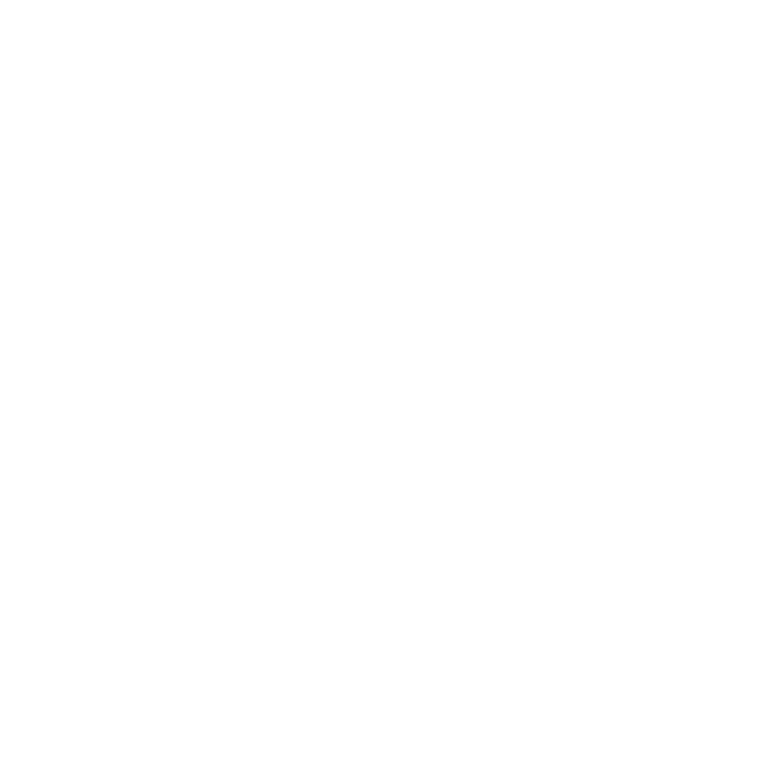 The Geese