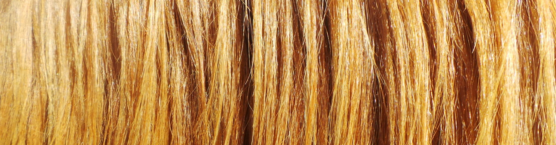 Banner paardenhaar.jpg