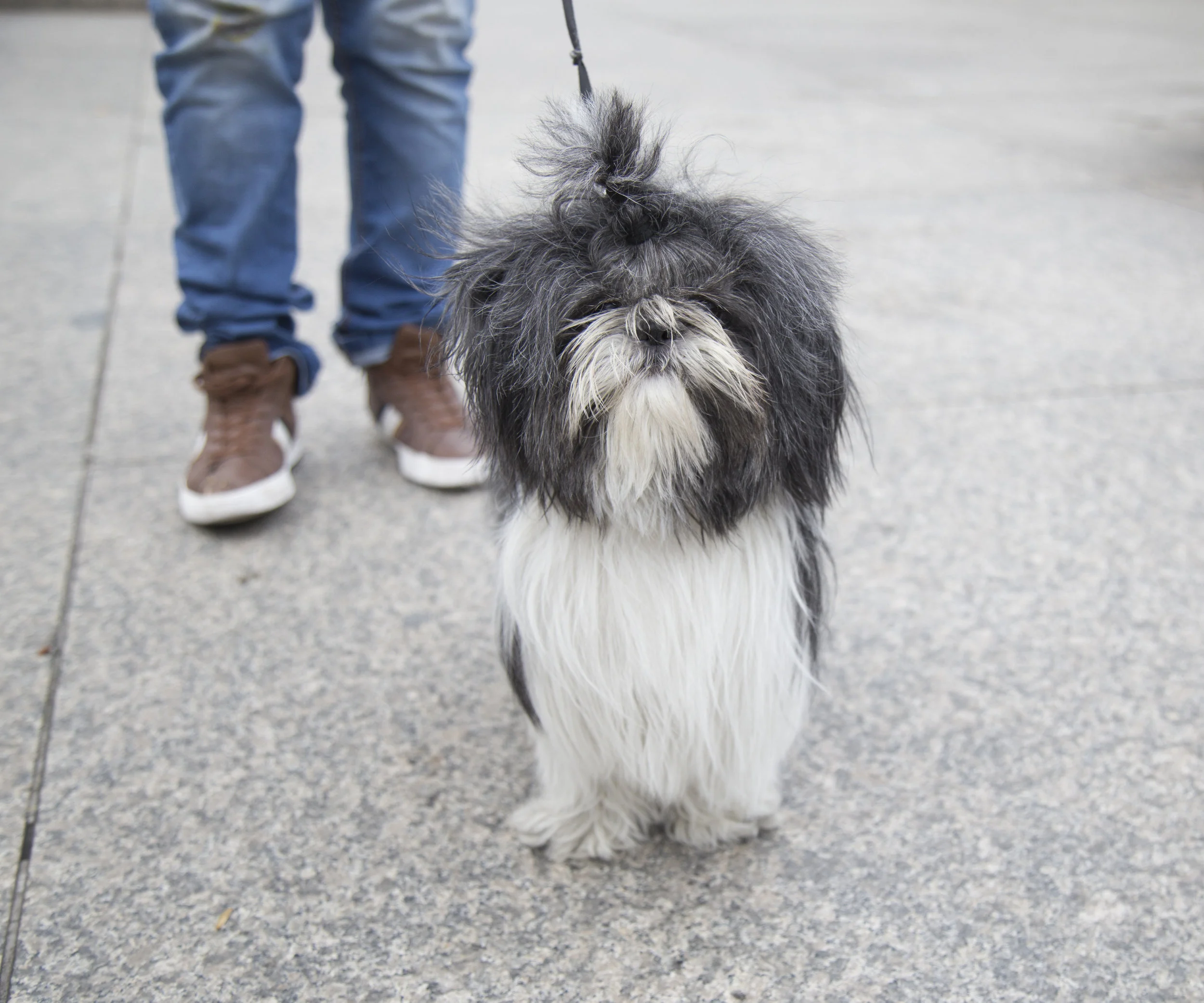 1. Luna_ACoruña.jpg