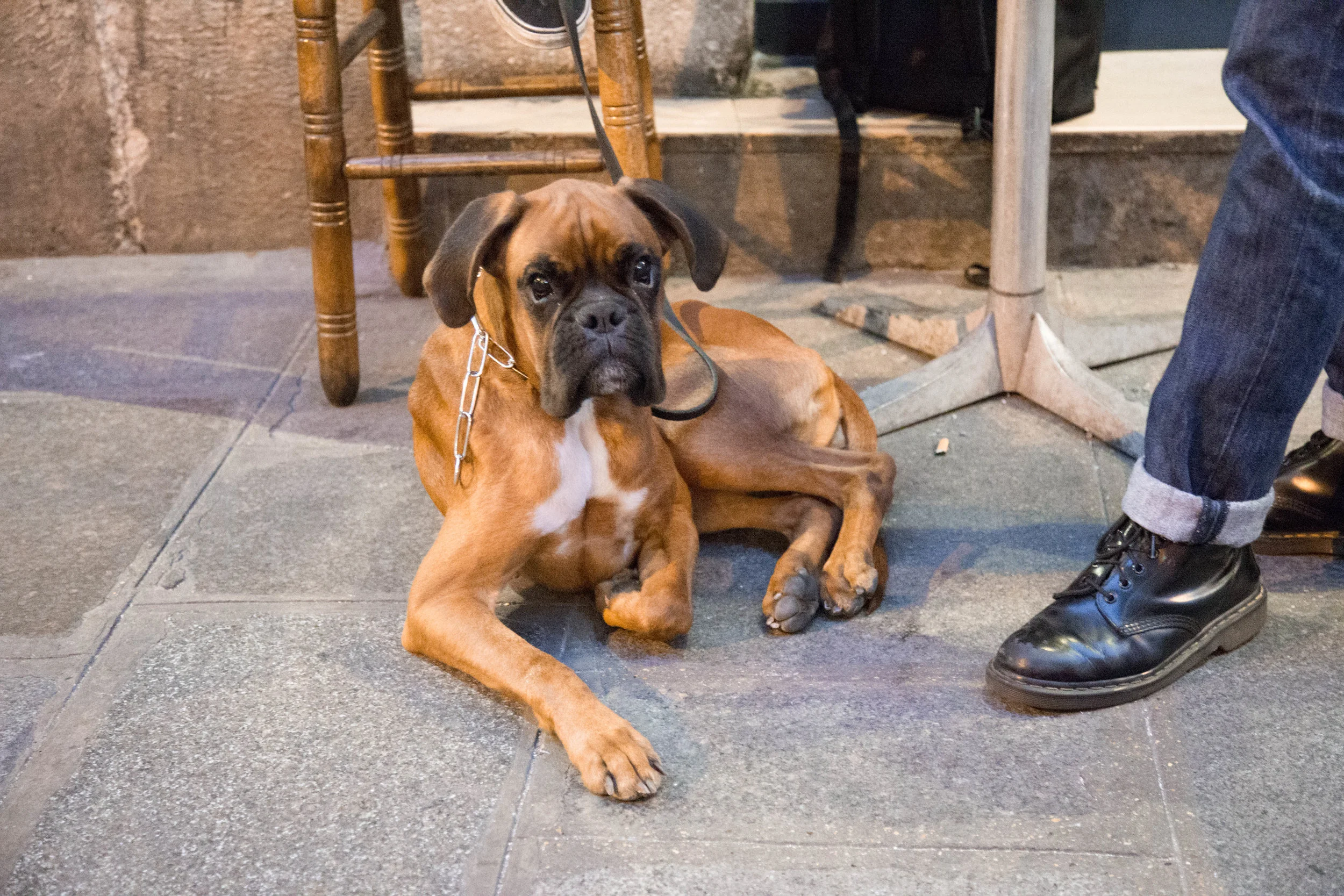 18. Rupert_Paris.jpg