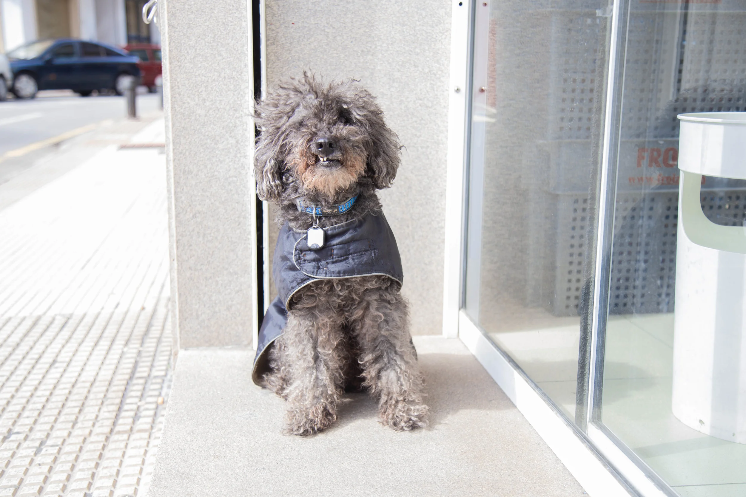 24. Chulin_Pontevedra.jpg