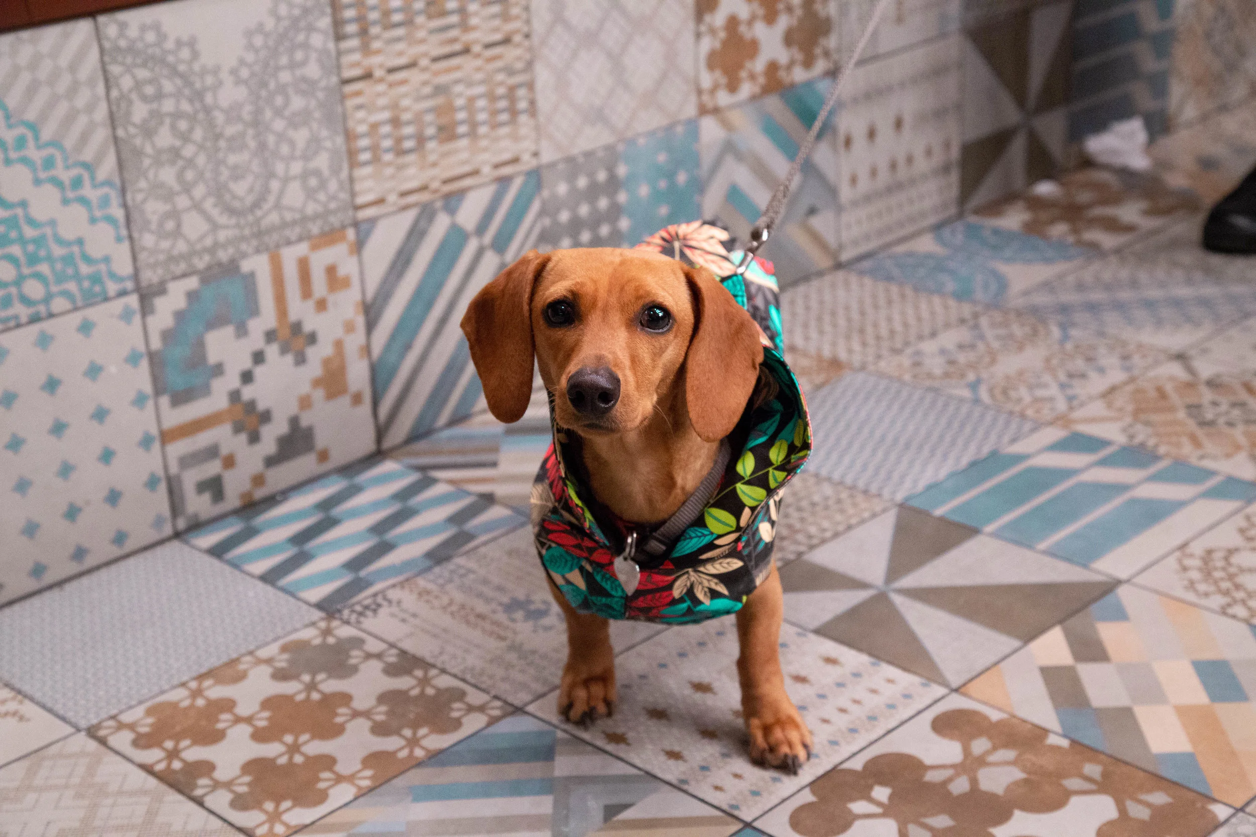 27. Baguette_Varese.jpg