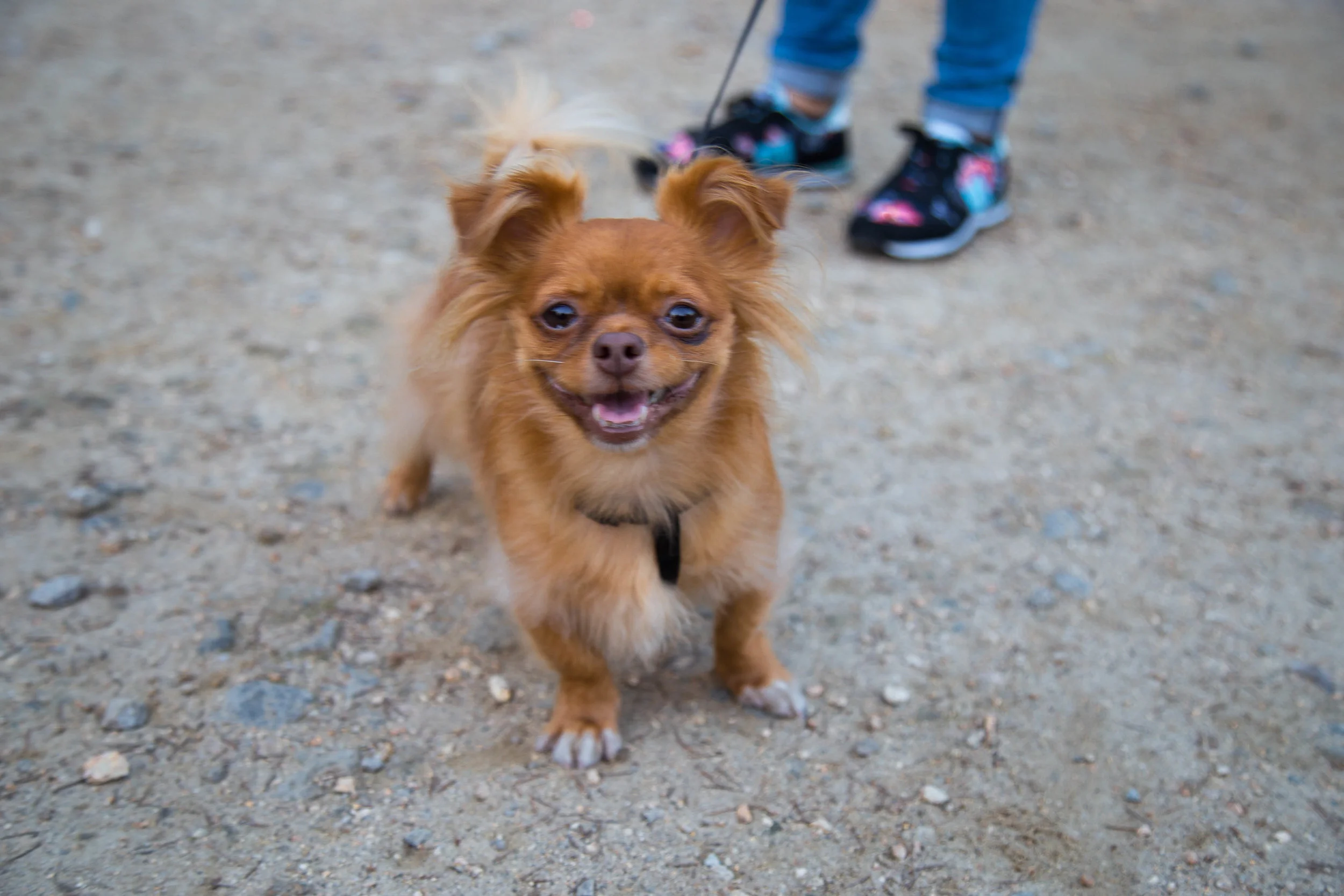 28. Ramon_SantiagoCompostela.jpg