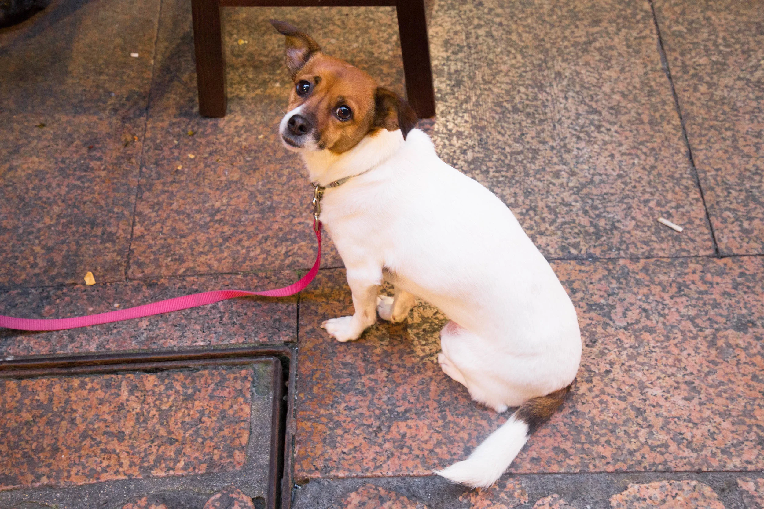 35. Alaia_Vittoria_new.jpg