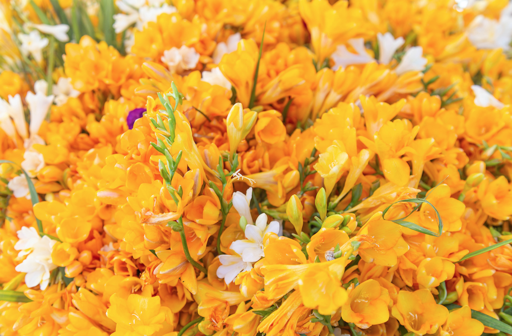 Captura de pantalla 2020-06-14 a las 12.22.23 p.m..png