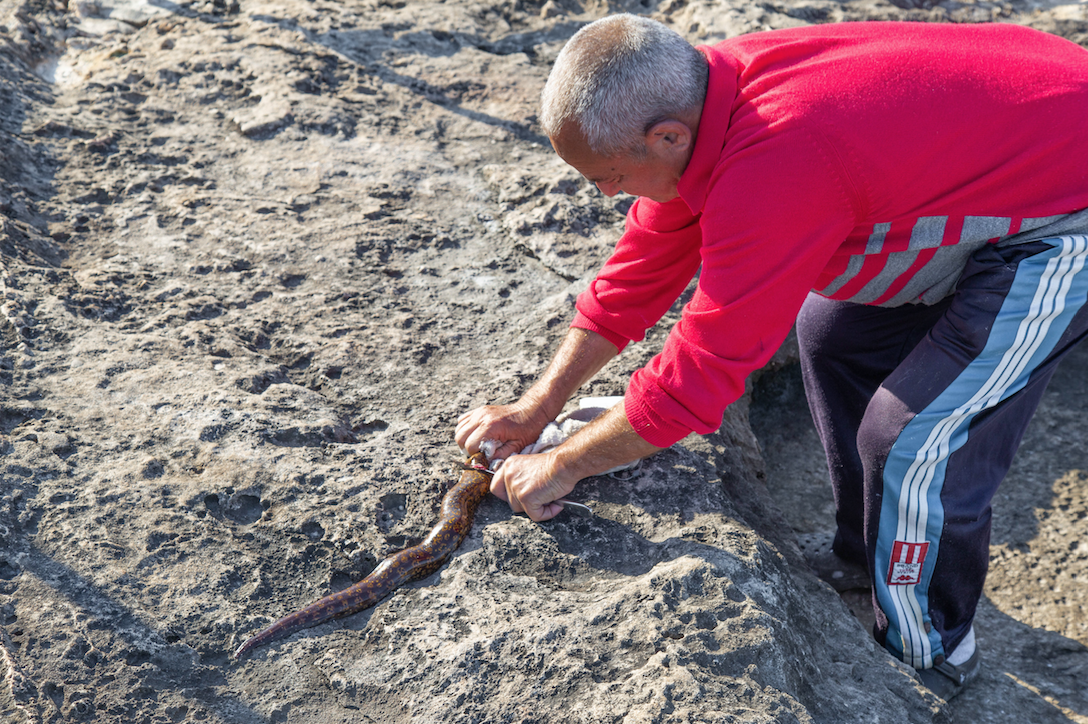 Captura de pantalla 2020-06-14 a las 12.21.00 p.m..png