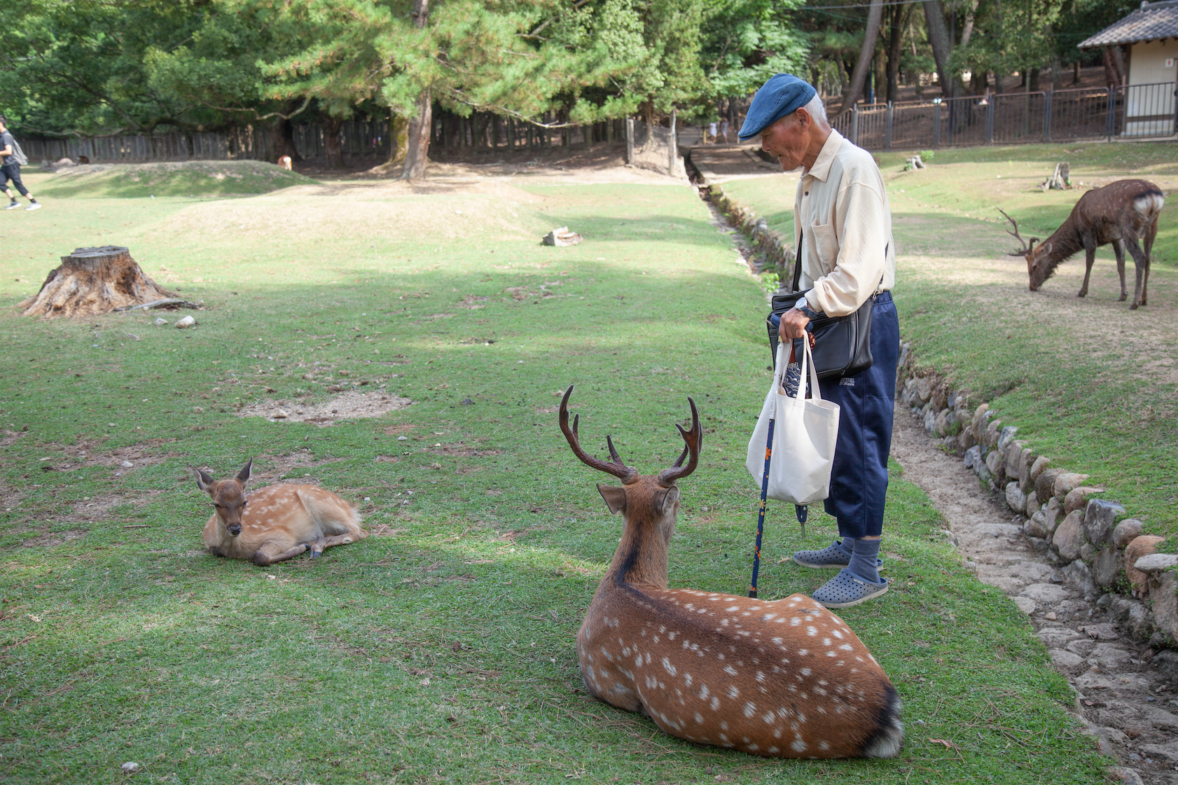 Captura de pantalla 2020-06-21 a las 6.14.15 p.m..png