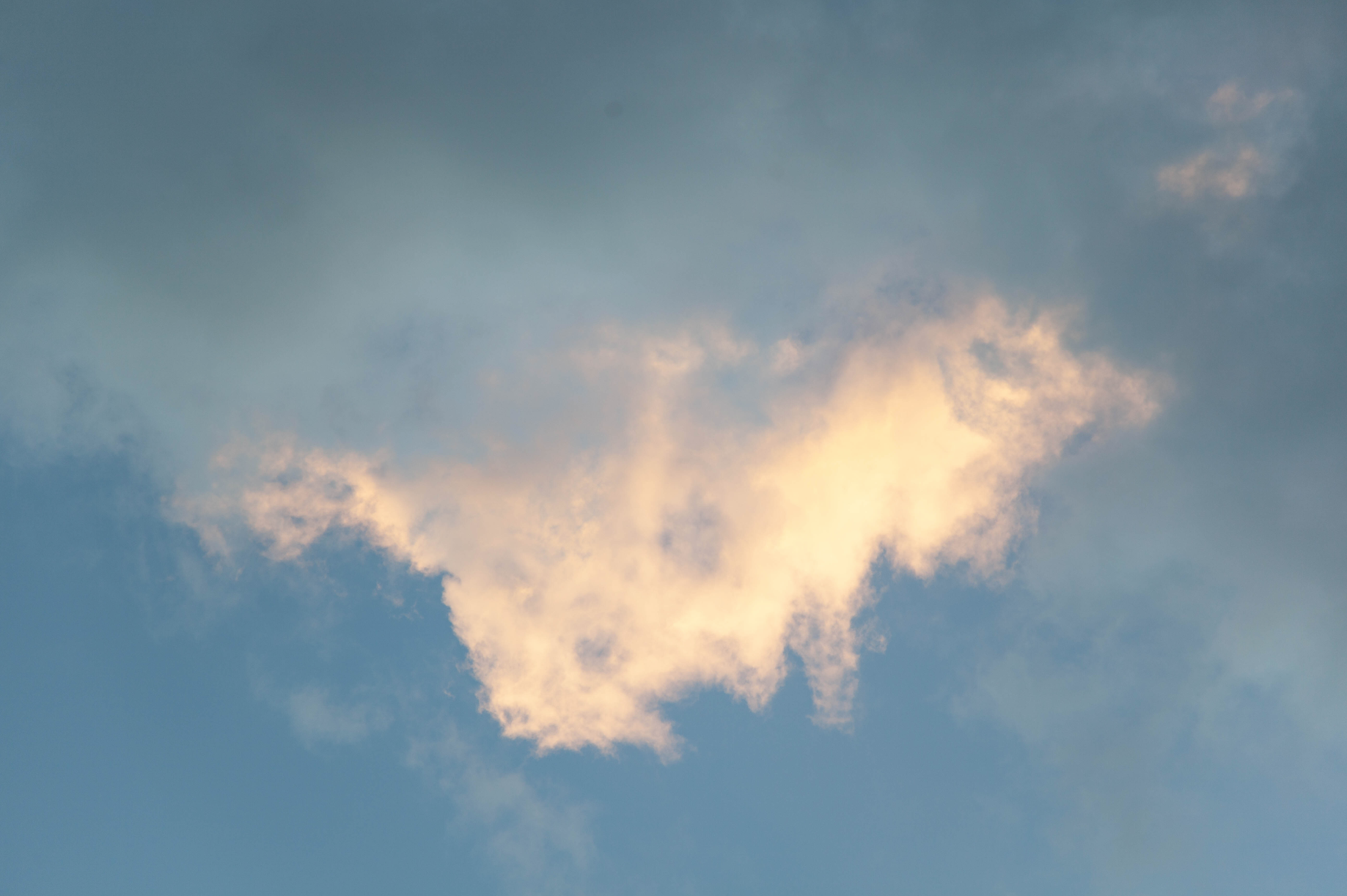 Captura de Pantalla 2020-08-02 a la(s) 19.50.25.png