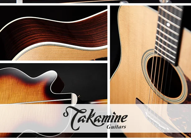 newsletter-takaminehasprettyguitars.jpg