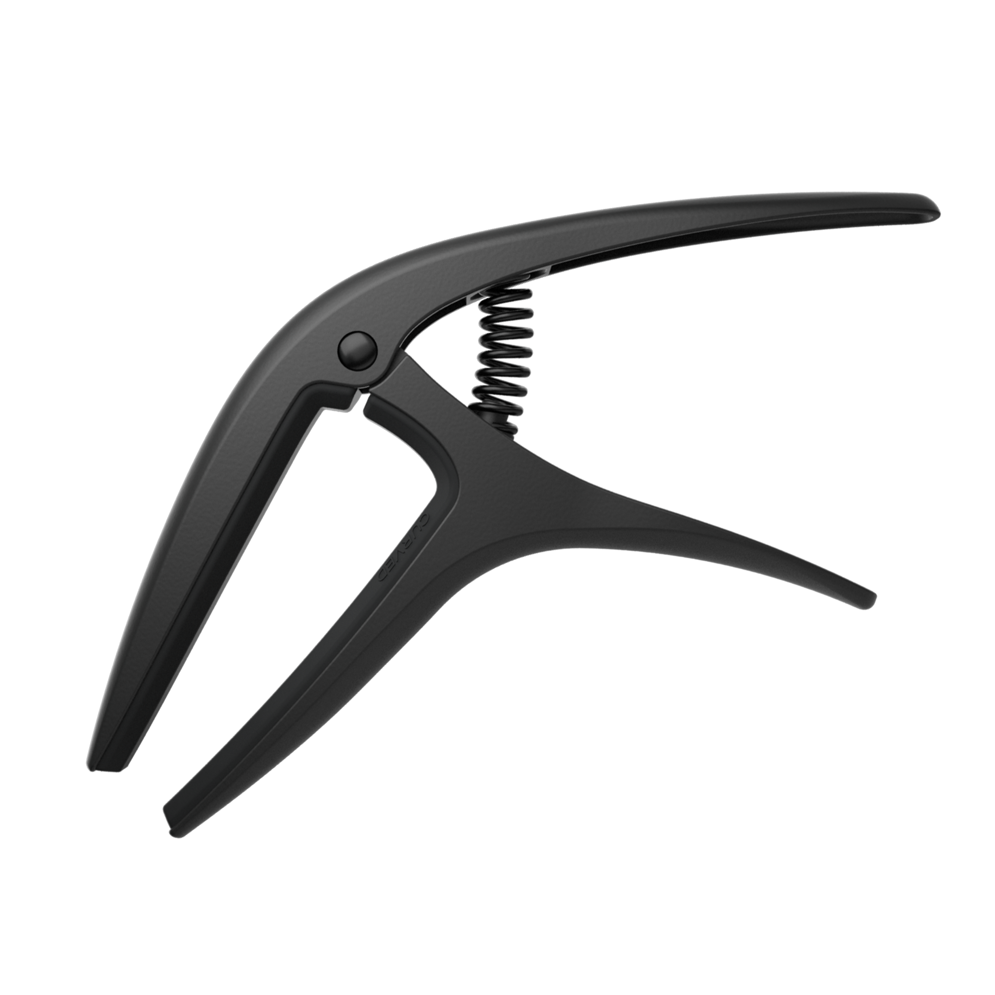 Axis-capo-P09600.png