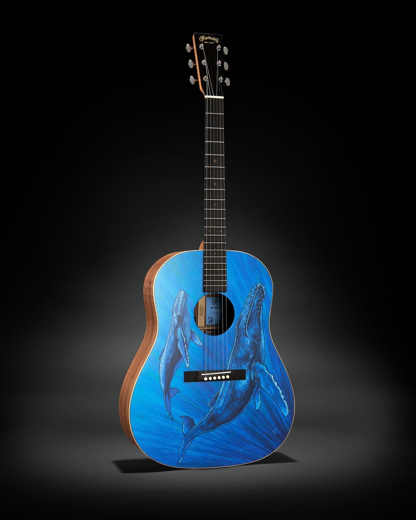 Introducing the @martinguitar DSS Biosphere II! 🐋
&nbsp;
The third model in their Earth Day series showcases another stunning work of art from acclaimed artist Robert Goetzl, taking us to the waters off the coast of Hawaii. This model is a tribute t