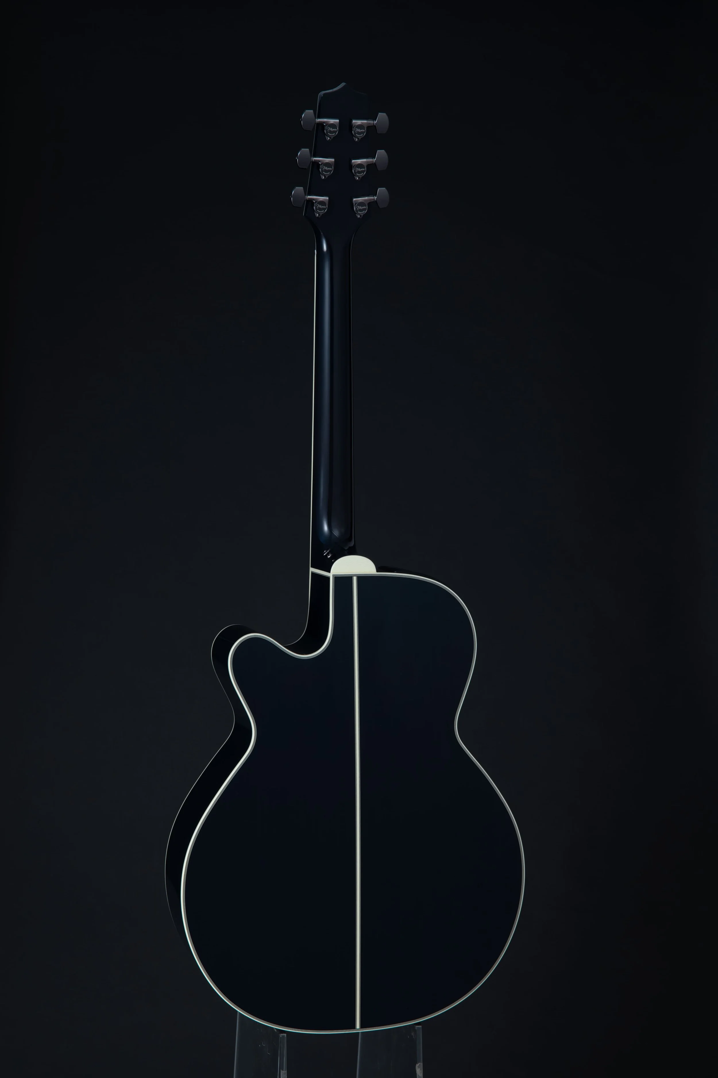 Namm 2024 Takamine presents its 2024 limited edition guitar! — Algam