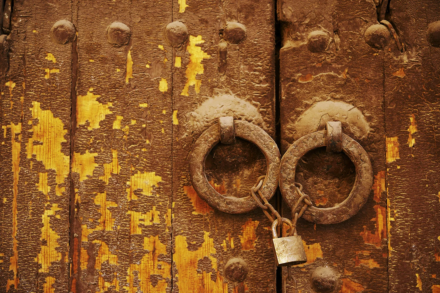 DSC_4701.jpg
