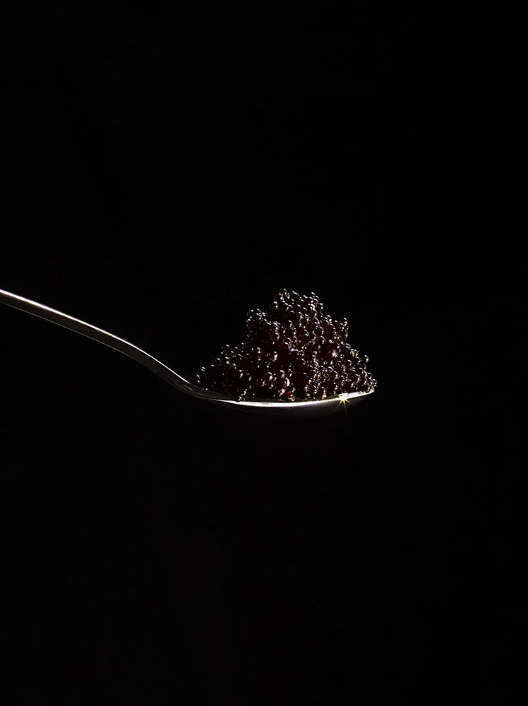 No6 Caviar.jpg