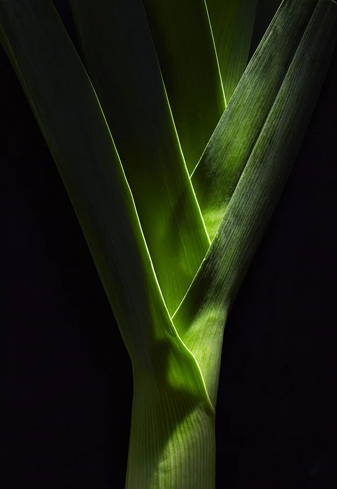 No4 Leek.jpg