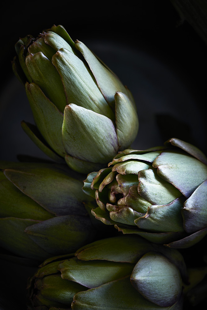 No8 Artichoke.jpg