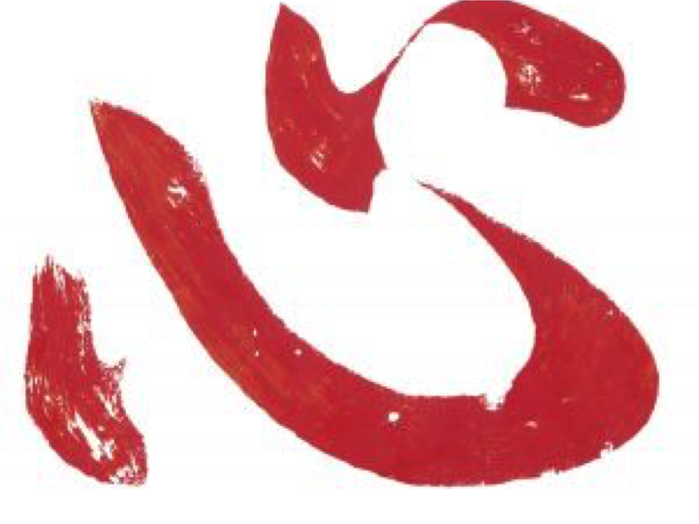 Heart.png