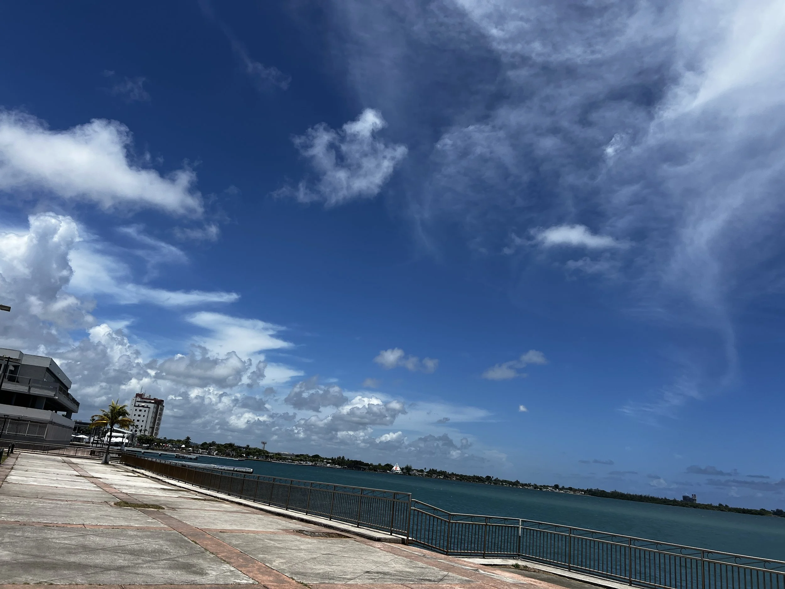 IMG_6274.JPG