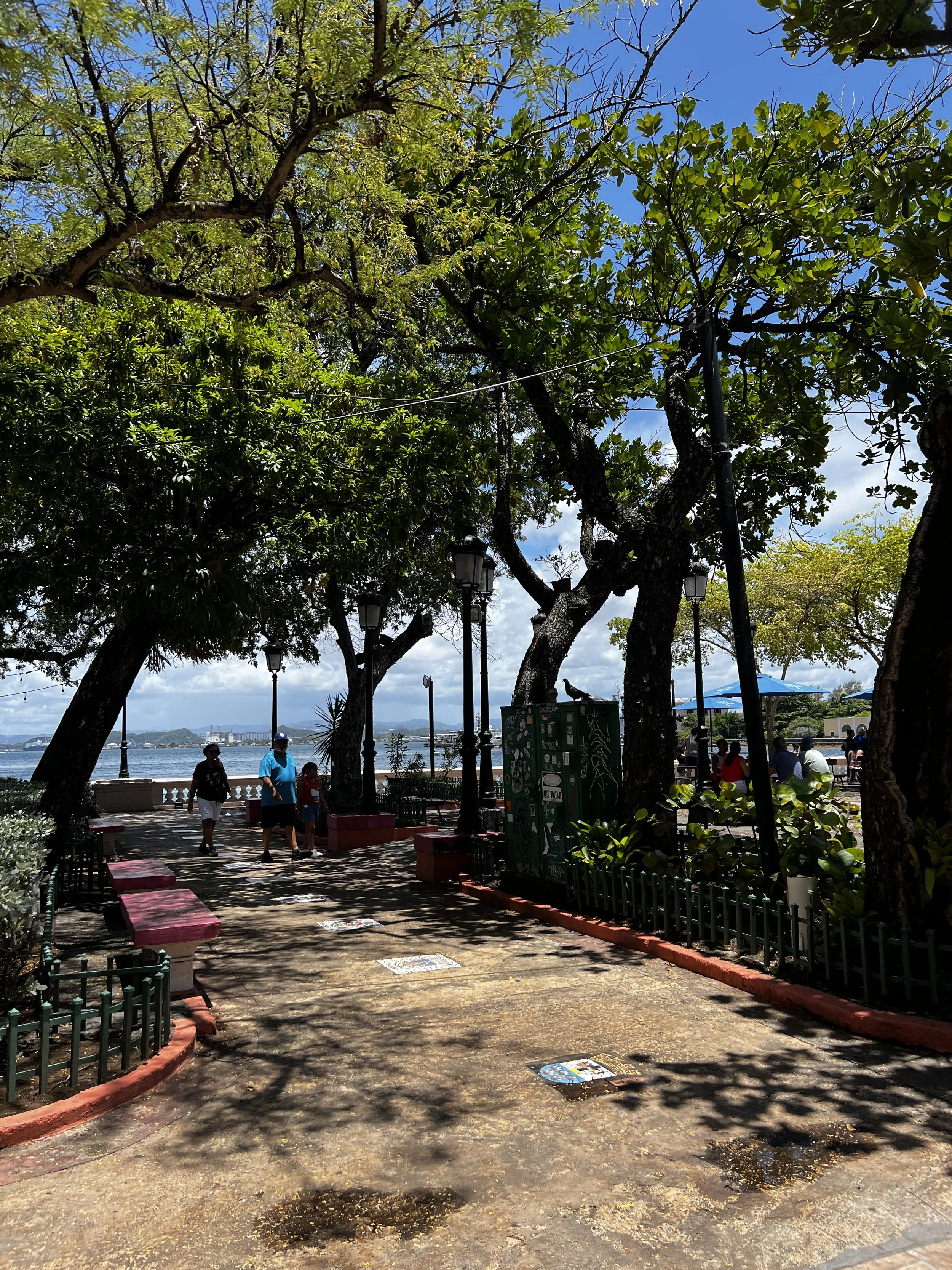 IMG_6287.JPG