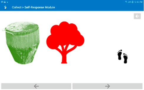 drum tree.png