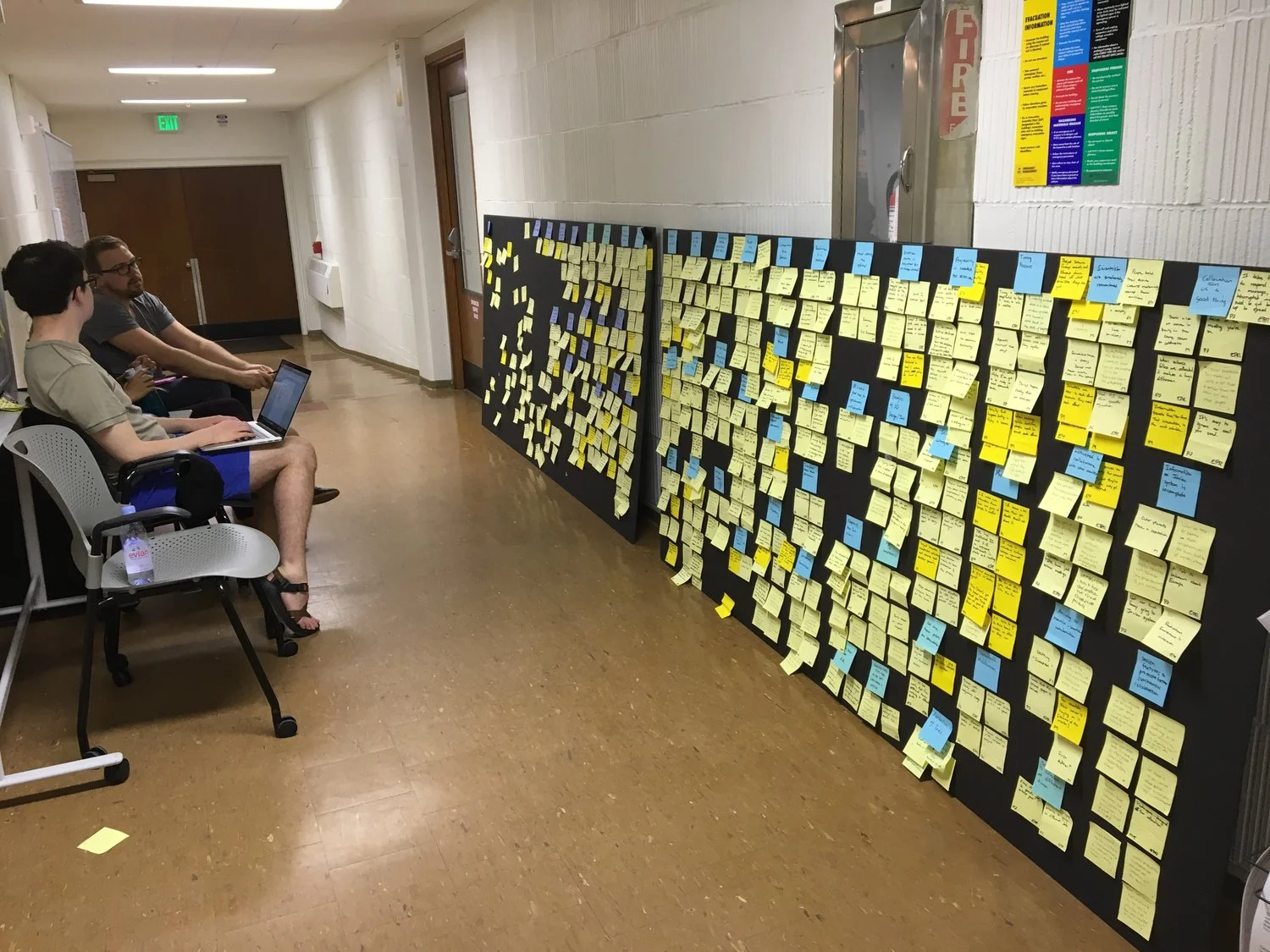 Phase 2 - organize coded date into themes and principles.