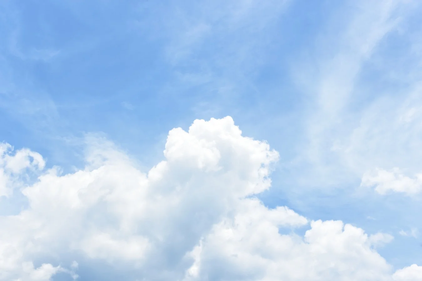 Which Sustainability Themes Should Companies Prepare for in 2019?