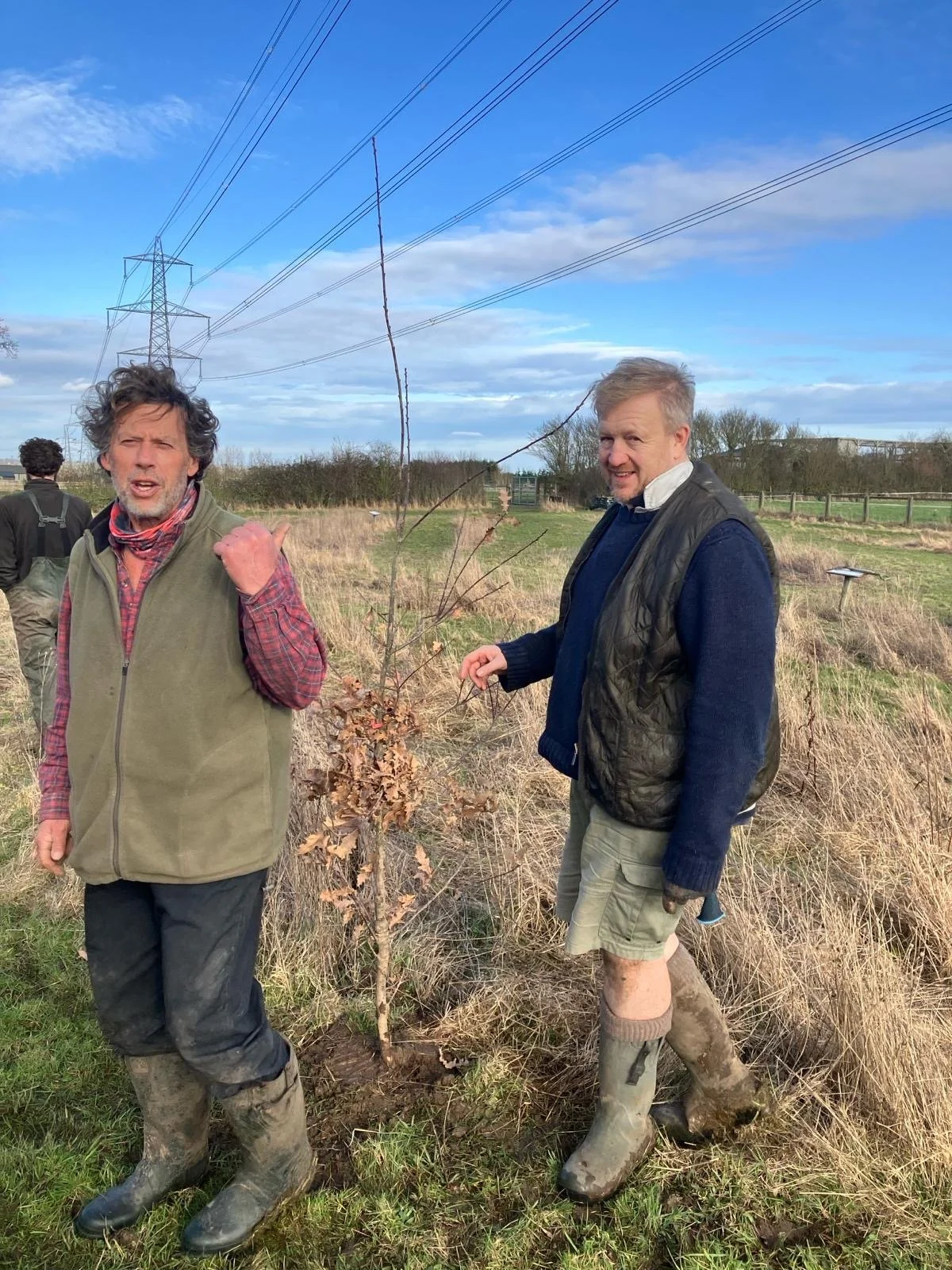 Volunteering Day at Hogshaw Farm with Oakdene Hollins Team