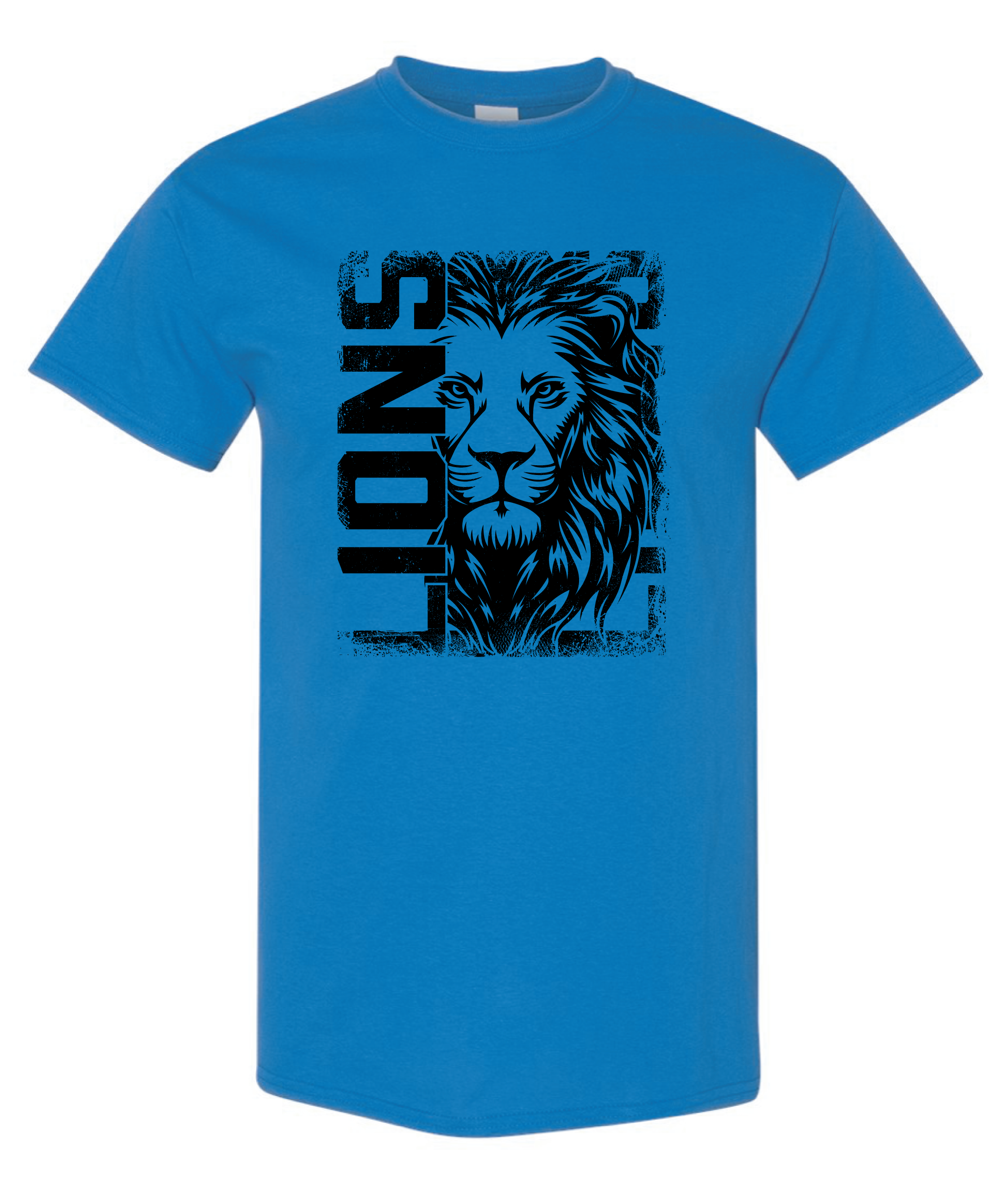 LionsBaseball25-09.png