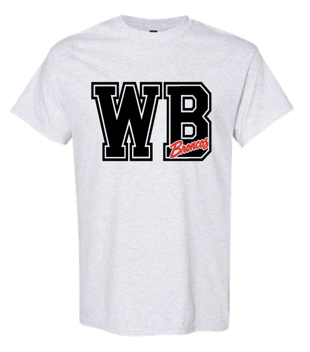 wb winter tee ash.png