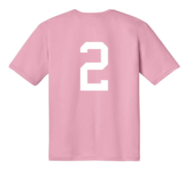 breast cancer drifit back.png