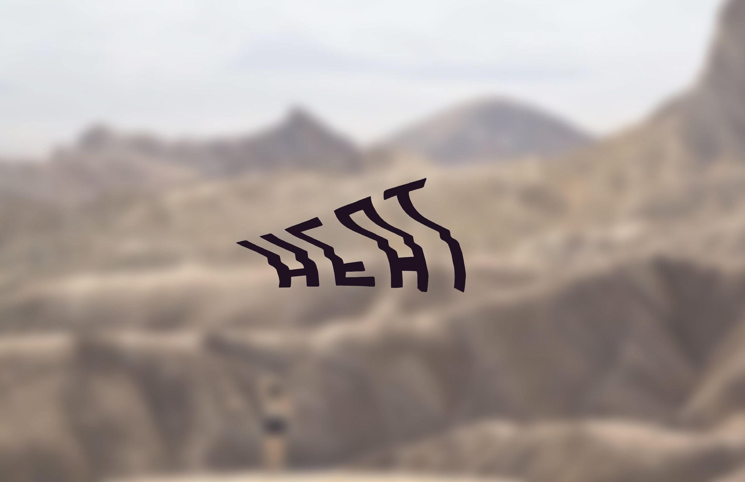 image-asset.jpeg