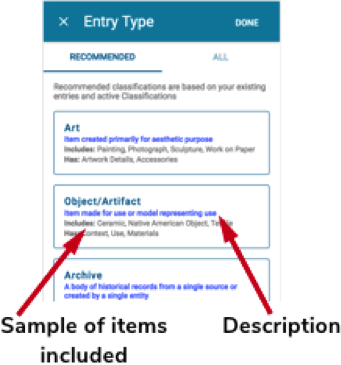 Entry type.png