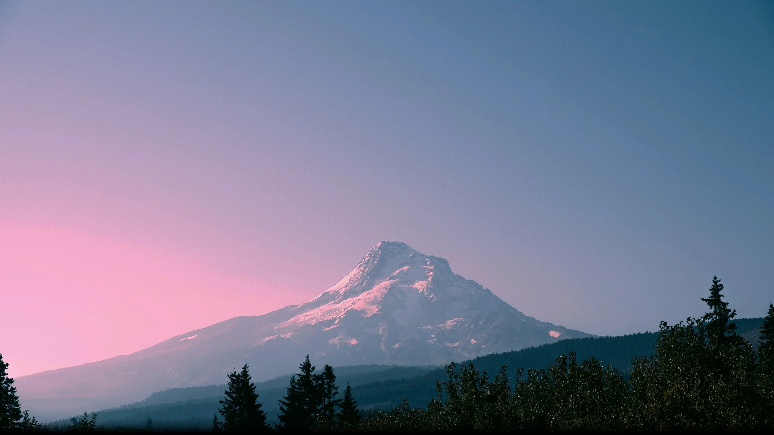 jesse-borovnica-VjMJmwZOs9M-unsplash.jpg