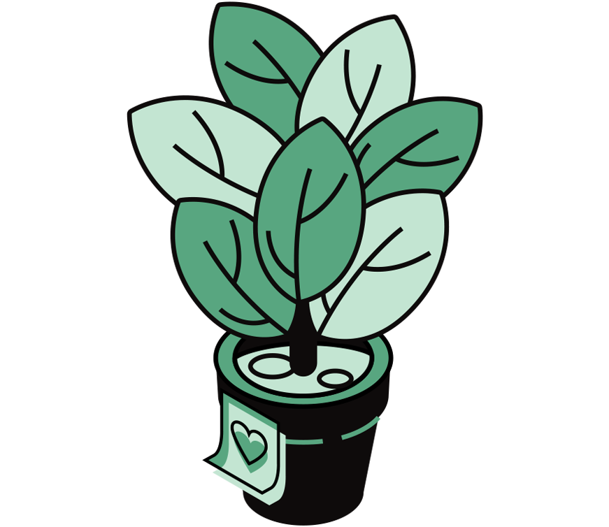 Care as a Culture