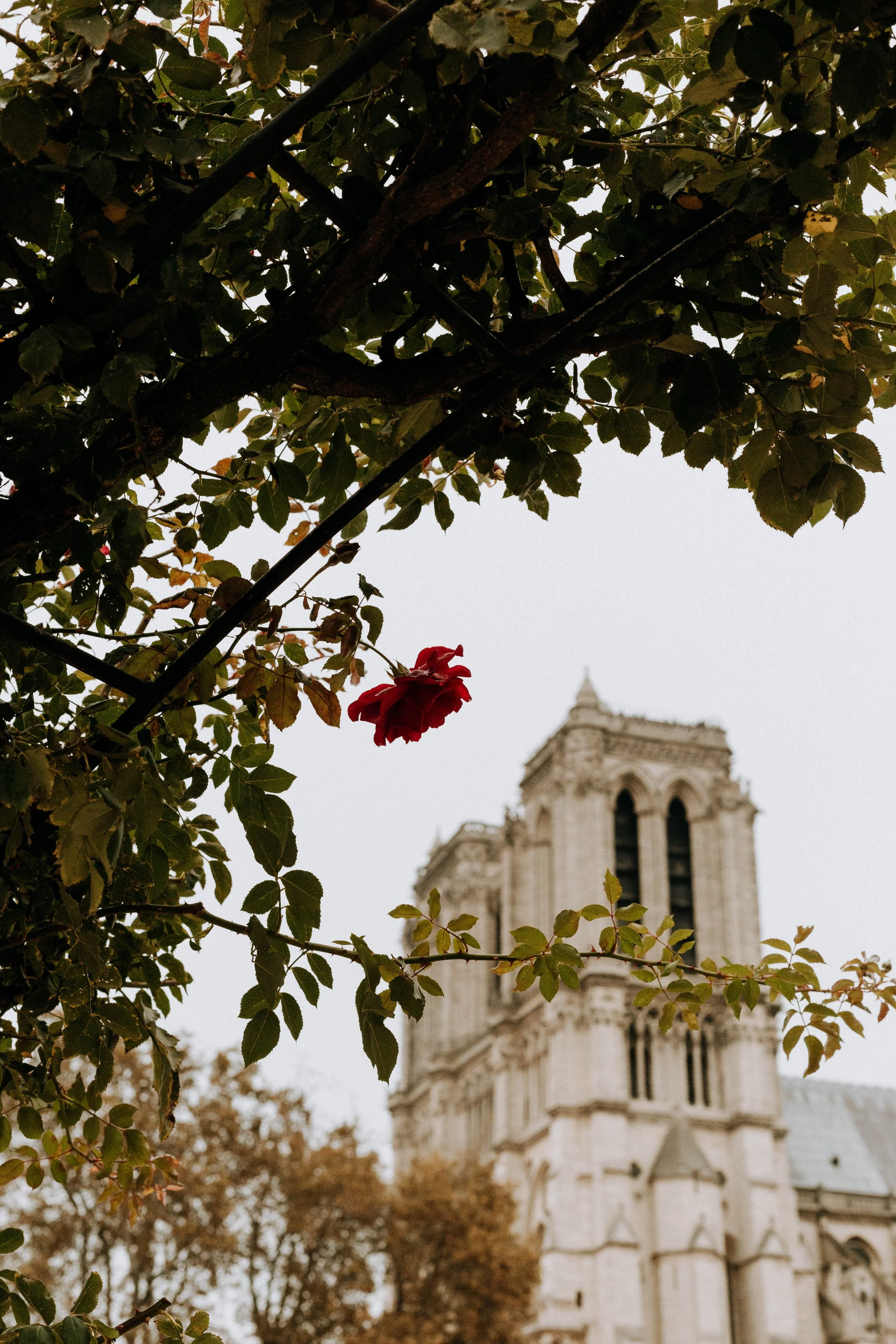 Foto: Bethany Beck c/o Unsplash
