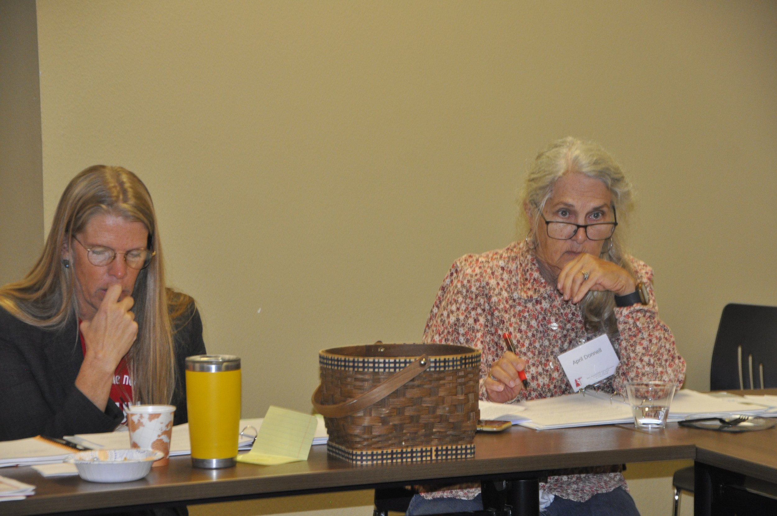 Two women sitting at a table, one with long blonde hair and glasses, wearing a black jacket, and the other with gray hair in a bun, also with glasses, wearing a floral shirt, engaging with papers and a laptop during a meeting or workshop.