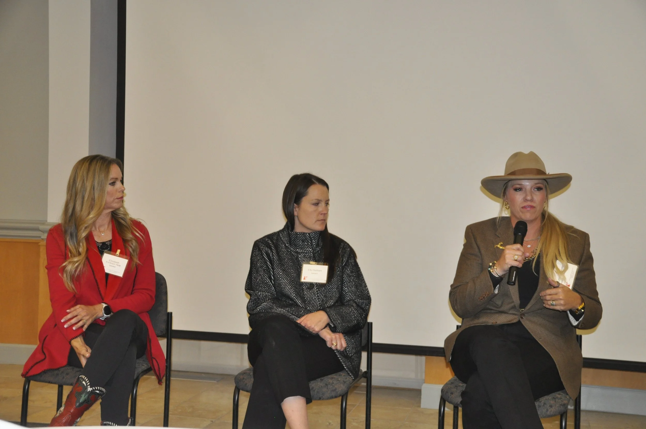 Four women sitting in chairs on a stage, participating in a panel or discussion, with one woman speaking into a microphone.