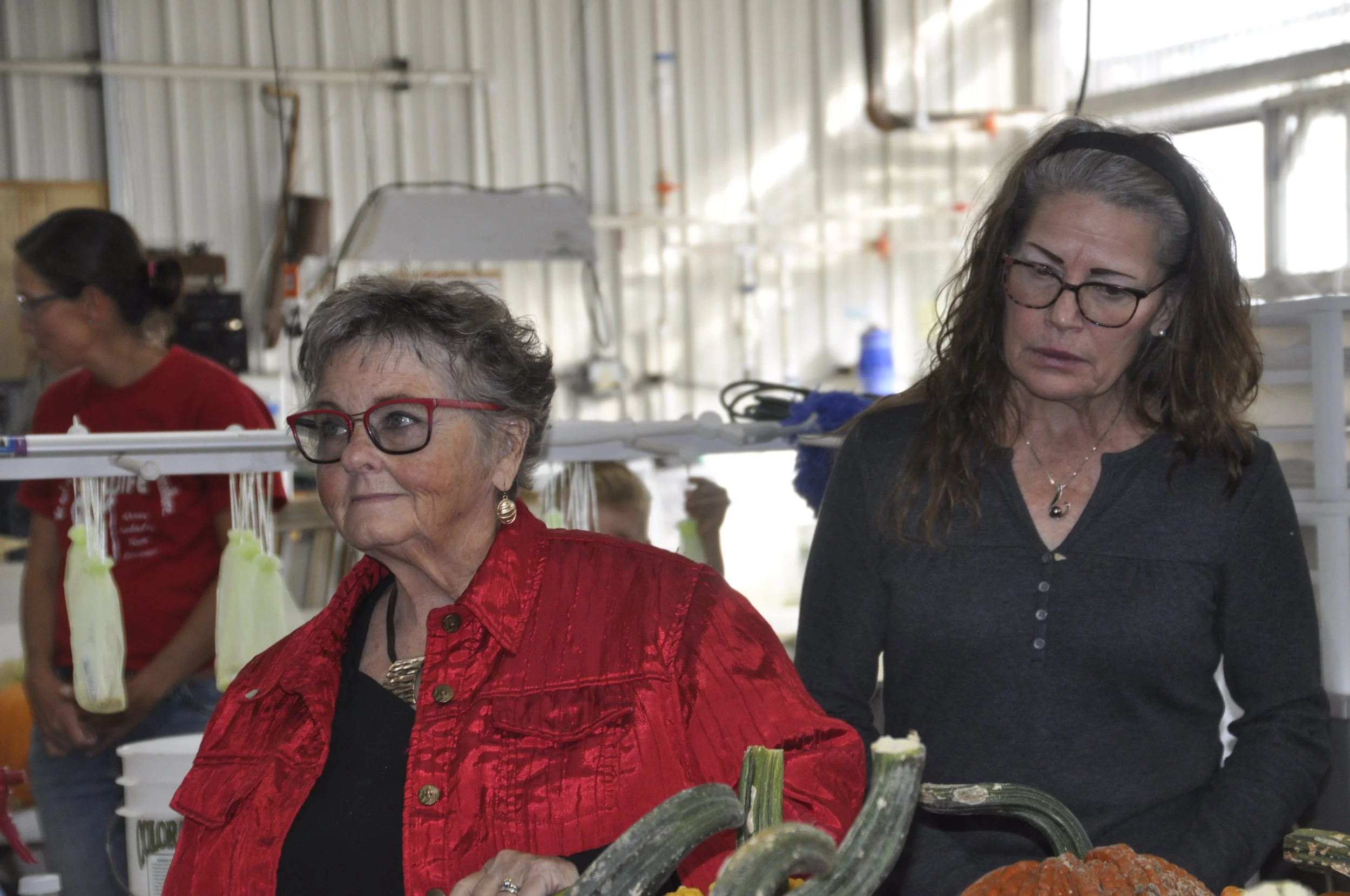 Two women are inspecting produce at an indoor market. One woman with gray hair and glasses is in the foreground, wearing a red patterned jacket. The second woman with curly brown hair and glasses is in the background, wearing a dark shirt. The settin