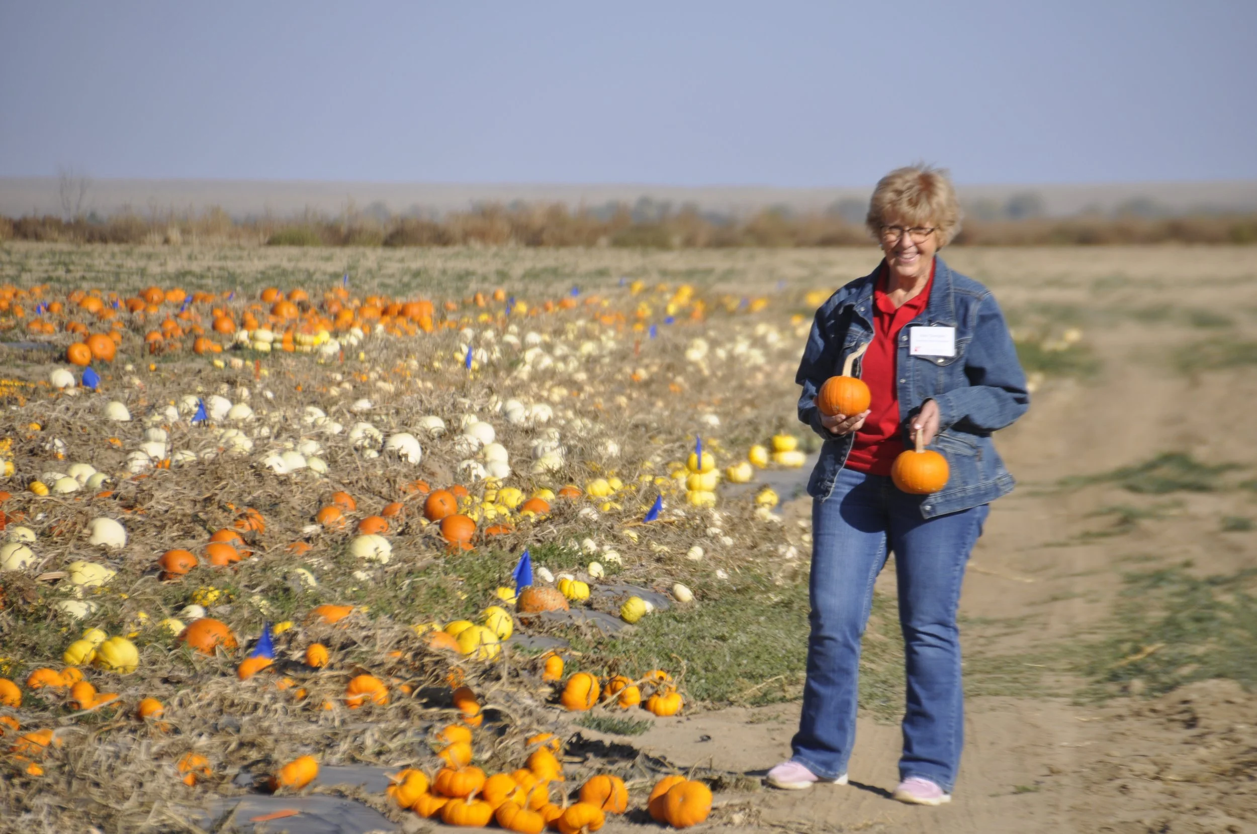 A woman with short blond hair, glasses, wearing a denim jacket and red shirt, smiling while holding small pumpkins in a pumpkin patch during daytime.
