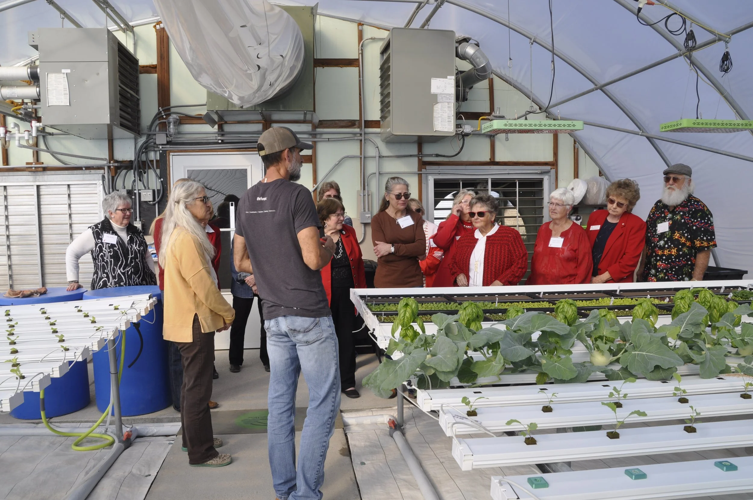 Group of people inside a greenhouse observing plants and hydroponic farming equipment.