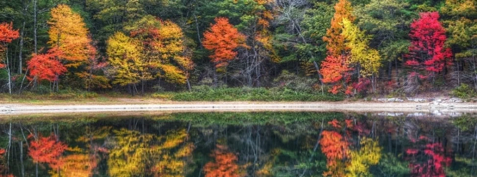 walden-pond-fall-foliage-concord-ma-reflection-toby-mcguire (1).jpg